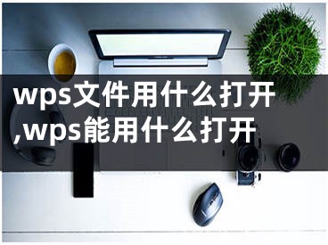 wps文件用什么打開,wps能用什么打開