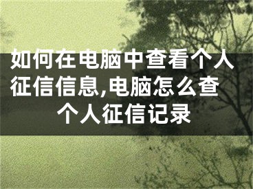 如何在電腦中查看個人征信信息,電腦怎么查個人征信記錄