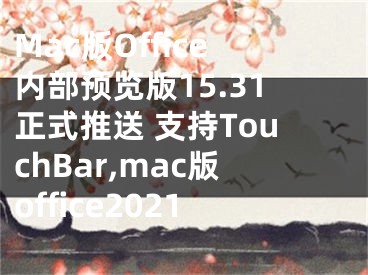 Mac版Office內(nèi)部預(yù)覽版15.31正式推送 支持TouchBar,mac版office2021