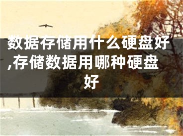 數(shù)據(jù)存儲(chǔ)用什么硬盤(pán)好,存儲(chǔ)數(shù)據(jù)用哪種硬盤(pán)好