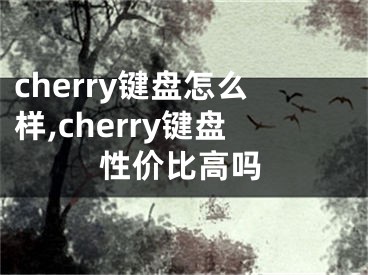 cherry鍵盤怎么樣,cherry鍵盤性價(jià)比高嗎