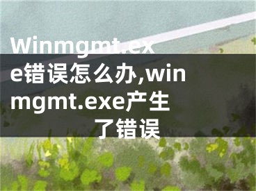 Winmgmt.exe錯誤怎么辦,winmgmt.exe產(chǎn)生了錯誤