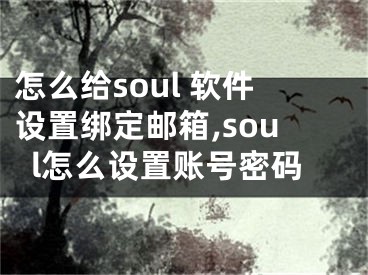 怎么給soul 軟件設(shè)置綁定郵箱,soul怎么設(shè)置賬號密碼