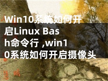 Win10系統(tǒng)如何開啟Linux Bash命令行 ,win10系統(tǒng)如何開啟攝像頭