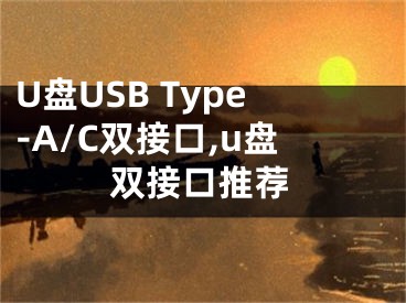 U盤USB Type-A/C雙接口,u盤雙接口推薦