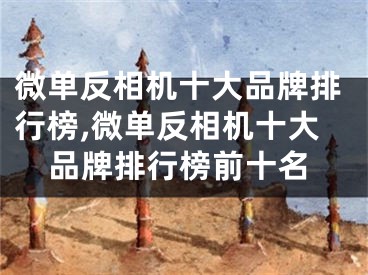 微單反相機(jī)十大品牌排行榜,微單反相機(jī)十大品牌排行榜前十名