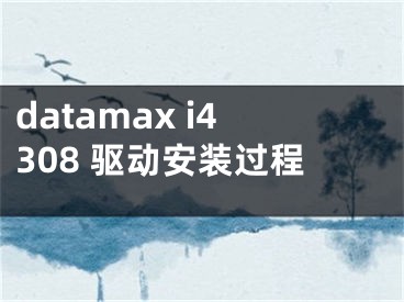 datamax i4308 驅(qū)動安裝過程