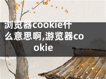 瀏覽器cookie什么意思啊,游覽器cookie