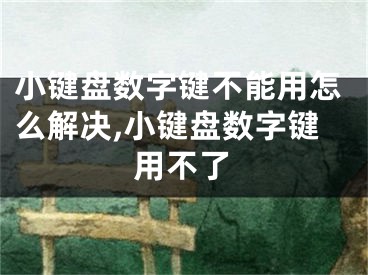 小鍵盤(pán)數(shù)字鍵不能用怎么解決,小鍵盤(pán)數(shù)字鍵用不了