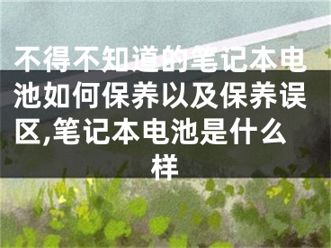 不得不知道的筆記本電池如何保養(yǎng)以及保養(yǎng)誤區(qū),筆記本電池是什么樣