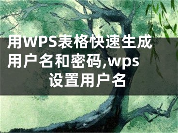 用WPS表格快速生成用戶名和密碼,wps設(shè)置用戶名