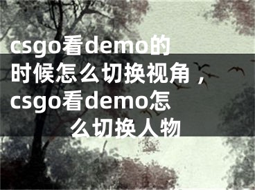 csgo看demo的時候怎么切換視角 ,csgo看demo怎么切換人物