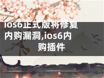 ios6正式版將修復(fù)內(nèi)購漏洞,ios6內(nèi)購插件