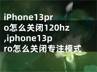 iPhone13pro怎么關閉120hz,iphone13pro怎么關閉專注模式