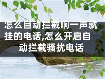 怎么自動攔截響一聲就掛的電話,怎么開啟自動攔截騷擾電話