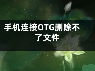 手機(jī)連接OTG刪除不了文件