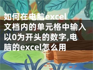 如何在電腦excel文檔內的單元格中輸入以0為開頭的數(shù)字,電腦的excel怎么用