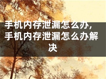 手機(jī)內(nèi)存泄漏怎么辦,手機(jī)內(nèi)存泄漏怎么辦解決