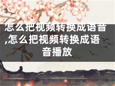 怎么把視頻轉(zhuǎn)換成語音,怎么把視頻轉(zhuǎn)換成語音播放