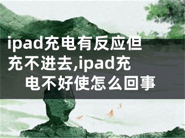 ipad充電有反應但充不進去,ipad充電不好使怎么回事