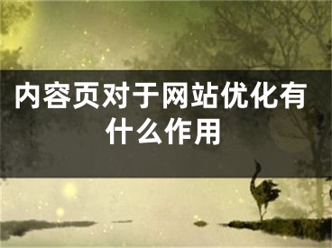 內(nèi)容頁對于網(wǎng)站優(yōu)化有什么作用