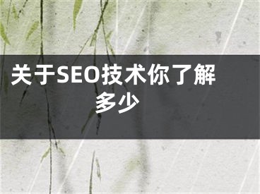 關于SEO技術你了解多少 