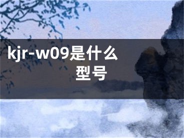 kjr-w09是什么型號