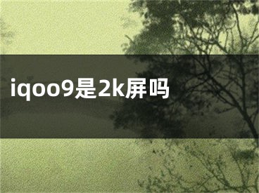 iqoo9是2k屏嗎