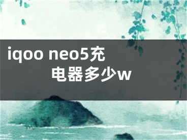 iqoo neo5充電器多少w