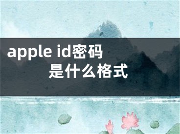 apple id密碼是什么格式