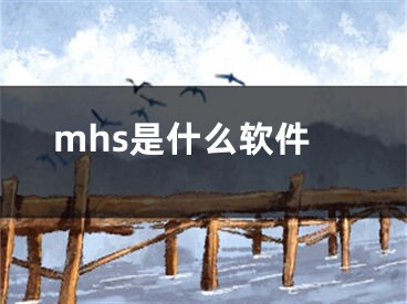 mhs是什么軟件