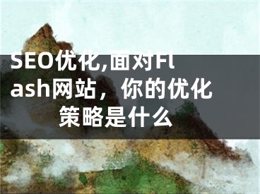 SEO優(yōu)化,面對Flash網(wǎng)站，你的優(yōu)化策略是什么 