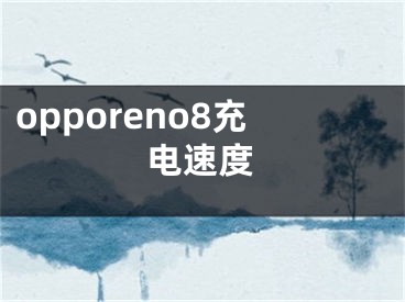 opporeno8充電速度