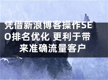 憑借新浪博客操作SEO排名優(yōu)化 更利于帶來(lái)準(zhǔn)確流量客戶