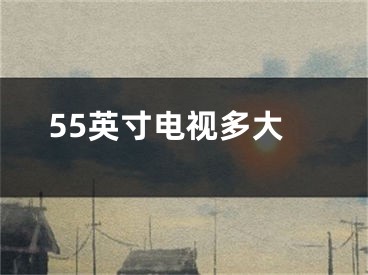 55英寸電視多大