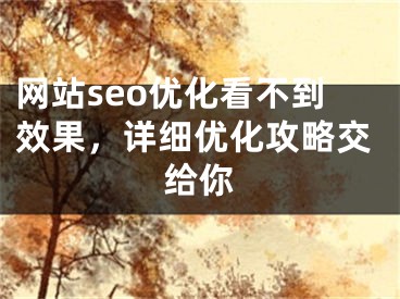 網(wǎng)站seo優(yōu)化看不到效果，詳細(xì)優(yōu)化攻略交給你