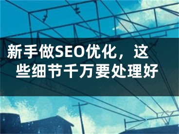 新手做SEO優(yōu)化，這些細(xì)節(jié)千萬(wàn)要處理好