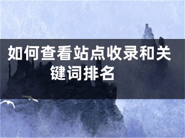 如何查看站點(diǎn)收錄和關(guān)鍵詞排名 