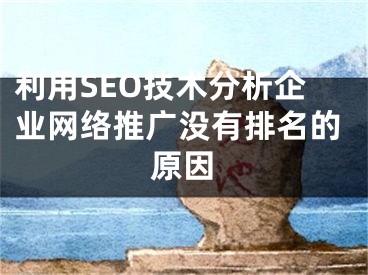 利用SEO技術(shù)分析企業(yè)網(wǎng)絡(luò)推廣沒有排名的原因