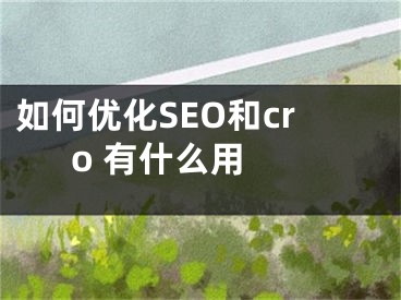 如何優(yōu)化SEO和cro 有什么用 