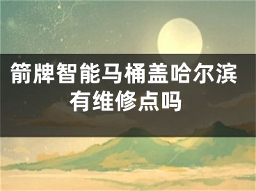 箭牌智能馬桶蓋哈爾濱有維修點(diǎn)嗎