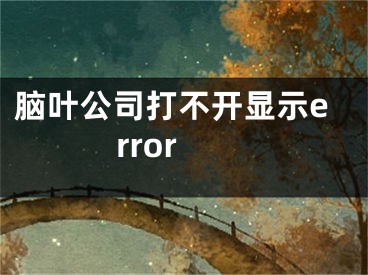 腦葉公司打不開顯示error