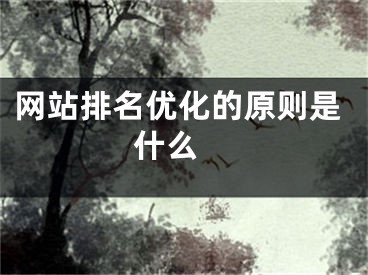 網(wǎng)站排名優(yōu)化的原則是什么 