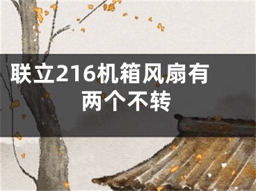 聯(lián)立216機(jī)箱風(fēng)扇有兩個不轉(zhuǎn)