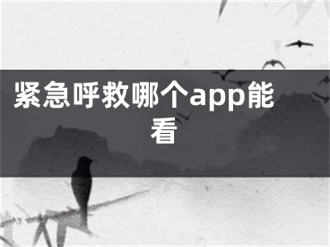 緊急呼救哪個app能看