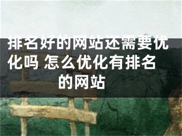 排名好的網(wǎng)站還需要優(yōu)化嗎 怎么優(yōu)化有排名的網(wǎng)站 