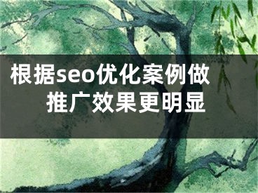 根據(jù)seo優(yōu)化案例做推廣效果更明顯