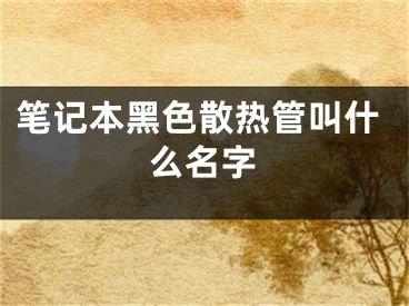 筆記本黑色散熱管叫什么名字