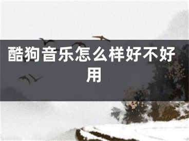 酷狗音樂(lè)怎么樣好不好用