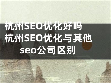 杭州SEO優(yōu)化好嗎 杭州SEO優(yōu)化與其他seo公司區(qū)別